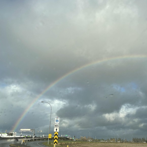 Meet your Posher, Bow - Picture 1 of 1